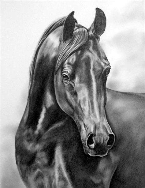 Realistic pencil drawings of horse hey there, just adding in a few images of the latest work in progress. 40 Realistic Animal Pencil Drawings | Pencil drawings of ...