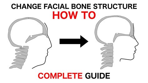 Concave Facial Profile How I Changed My Nose With No Surgery Makeup