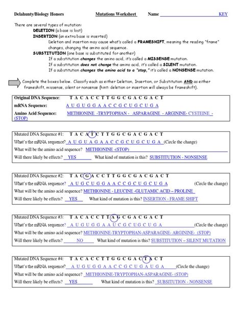 Dna mutation simulation 1) transcribe and translate your original dna. 30 Dna Mutations Practice Worksheet | Education Template