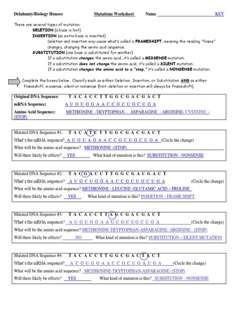 If you're looking for a dna mutations practice worksheet, then look no further. 30 Dna Mutations Practice Worksheet | Education Template