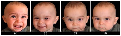 IJERPH Free Full Text Neural Responses To Infant Emotions And