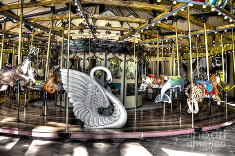 Swan Seat At The Carousel Photograph By Michael Garyet