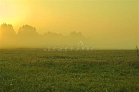 Misty Morning In Summer Time Stock Image Image Of Light Beam 28674283