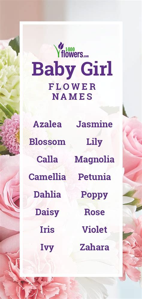 Flower Names For Girls Best Flower Wallpaper