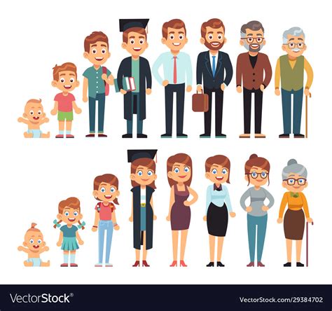 Age From Bato Adult Human Growth Royalty Free Vector Image