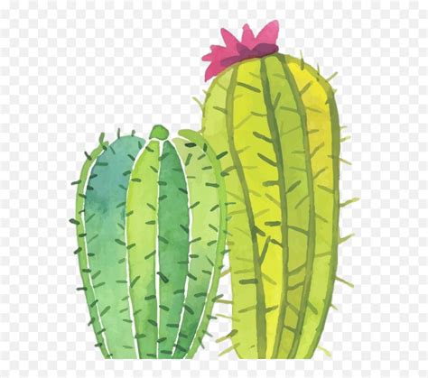 Cactus Png Tumblr Fondos De Cactus Con Frases Cute Cactus Png Free