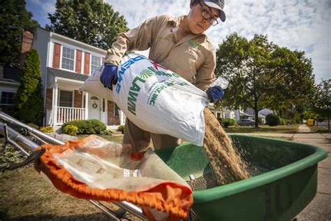 Benefits of hiring a professional: How Much Does Lawn Care Cost? Tips for Comparing Pricing ...