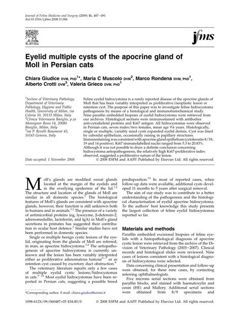 Eyelid Multiple Cysts Of The Apocrine Gland Of Moll In Persian Cats