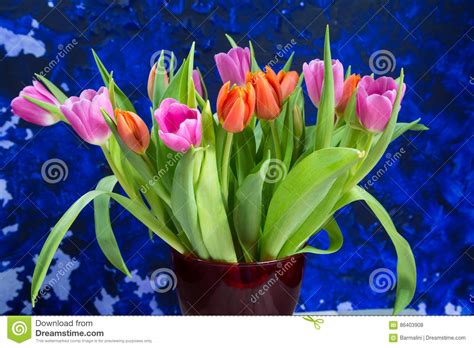 Tulipanes Ramo Hermoso De Tulipanes Coloridos De La Primavera Foto De