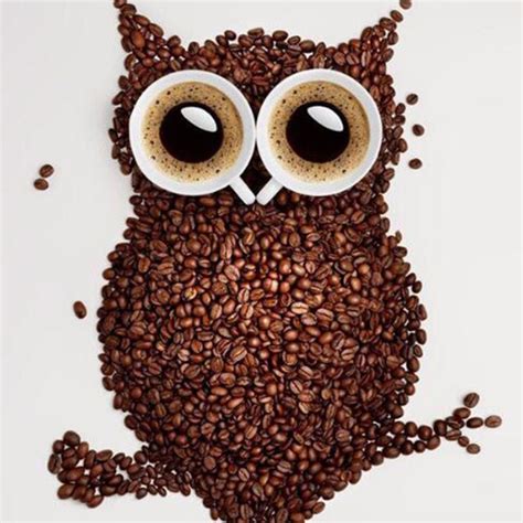 Gambar kolase hewan dari kertas. 880+ Kolase Hewan Dari Biji2an Gratis | Kolase, Hewan ...