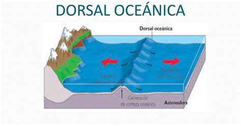 Dorsal Oceánica Lo Que Aún No Sabes De Esta Característica De La Tierra