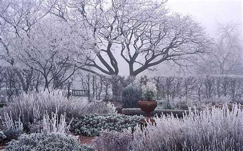 How To Plan For Beautiful Frost In Your Garden Design Pith Vigor