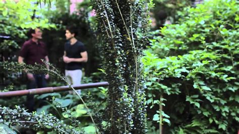 Brooklyn Backyard Jungle Urban Gardener Video Youtube