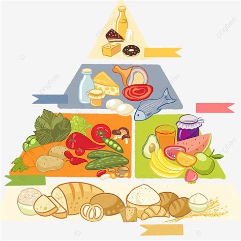 Gambar Piramid Makanan Berkhasiat Clipart Pencuci Mulut Pemakanan