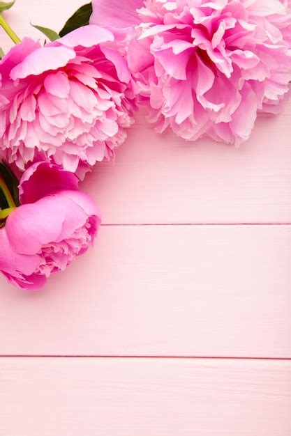 Premium Photo Purpure Peony Flowers On Pink Wooden Background