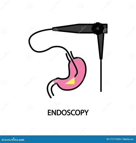 Endoscopy Line Icon Gastrointestinal Diagnostics Stock Vector