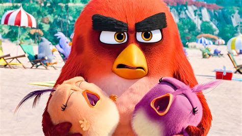 The Angry Birds Movie First Minutes From The Movie Youtube