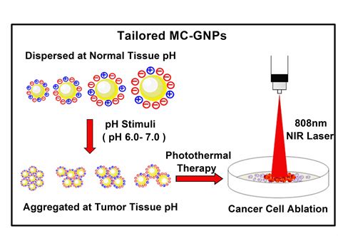 Frontiers  Tailoring the pHinduced aggregation behaviors of mixed