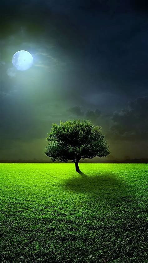 Full Moon Tree - The iPhone Wallpapers