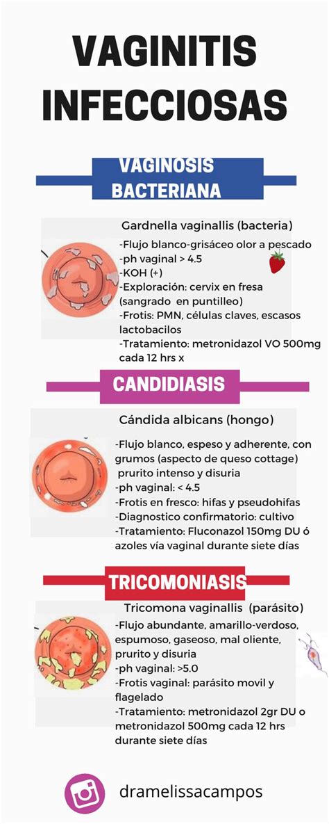 Infecciones Vaginales Ginecología En 2023 Cosas De Enfermeria