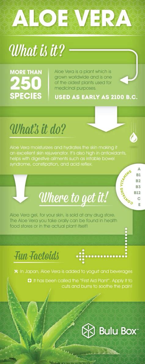 Thanks to the above benefits, you should follow the detailed instructions below if you want to whiten your skin 22. The Benefits Of Aloe Vera | Home Life With Mrs B