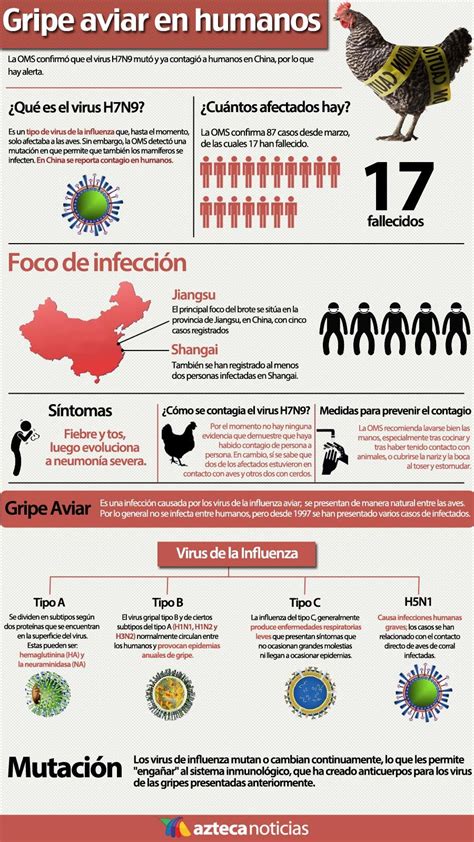 Expertos que identificaron el coronavirus marcan el peligro del virus de la gripe aviar. Gripe aviar en humanos | Infografías | Pinterest | Azteca ...