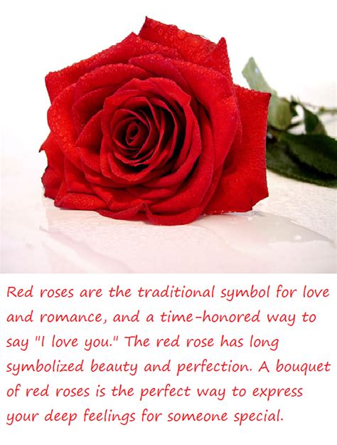 I love you too in hindi can be said as main bhi tumse pyaar karta hu. red roses meaning - Google Search in 2019 | Red roses ...