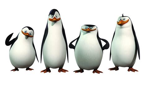 Penguin Animation Clipart Best