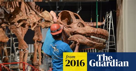Worlds Biggest Dinosaur Skeleton Unveiled In New York Dinosaurs