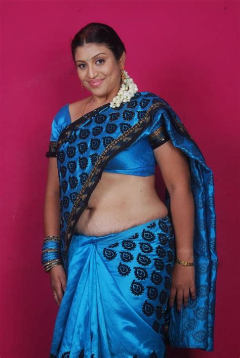 Hot Bhabi In Saree Andhra Sexy Aunties