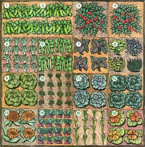 Square Foot Garden Layout Ideas Can T Wait For Spring Great Layout