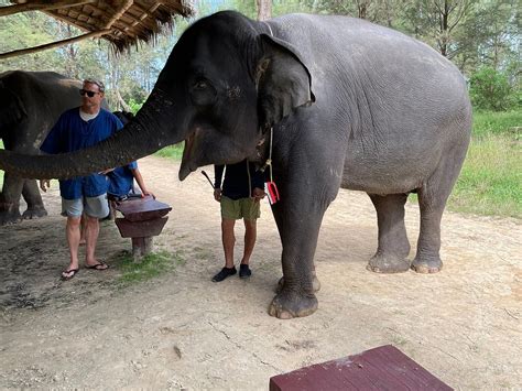 Khao Lak Elephant Home Aktuell Für 2023 Lohnt Es Sich Mit Fotos