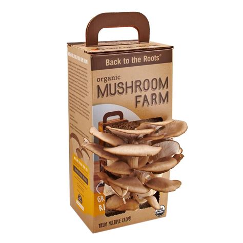 Back To The Roots Mushroom Farm Kit Mushkit1 The Home Depot