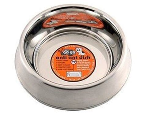 Prepare meals with cat bowls from petco. Pet Supplies : GoGo Pet Products Stainless Steel Anti-Ant ...