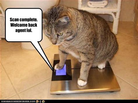 Check spelling or type a new query. Scan complete. Welcome back agent lol. - Cheezburger ...