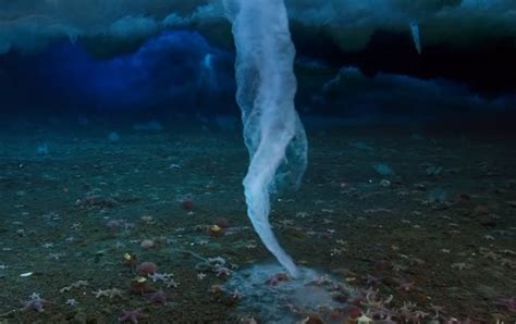 What Is Brinicle Icy Finger Of Death The Underwater Stalactite