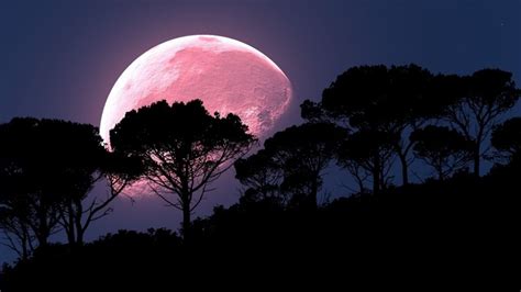 Brightest full moon stuns people across the world. A super pink moon is going to brighten up the sky over the UK tonight - Proper Manchester