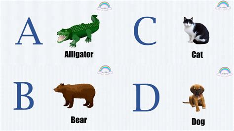 Abcd Zoo Animals A To Z Animals Names Learn 26 Animals Names Kids