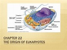 Chapter 22 The Origin of Eukaryotes