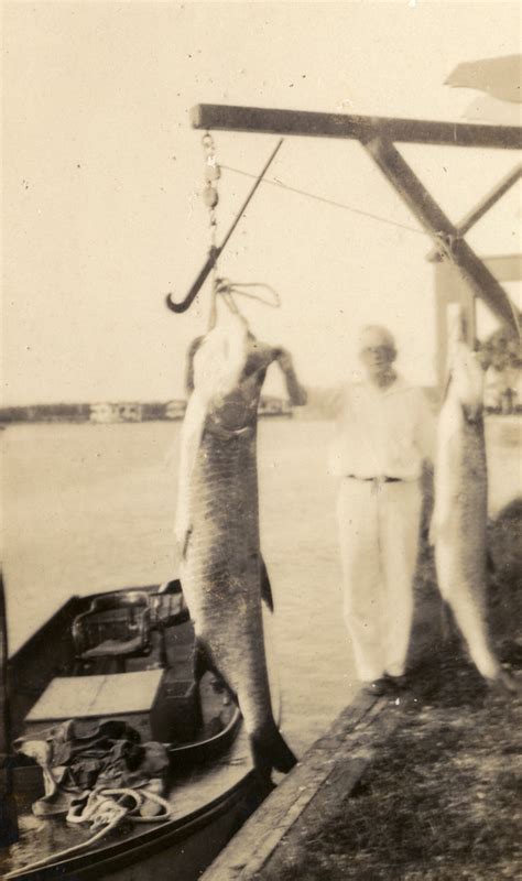 Florida Memory Portrait Of Koreshan Frank Lewis With Fish In Collier