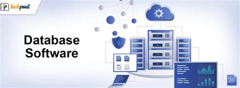 Top 7 Best Free Database Management Software In 2024
