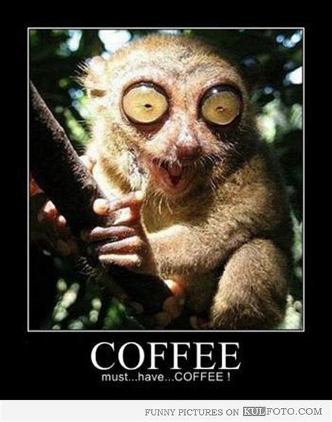 I Need Coffee Funny Must Have Coffee Funny Animal With Big