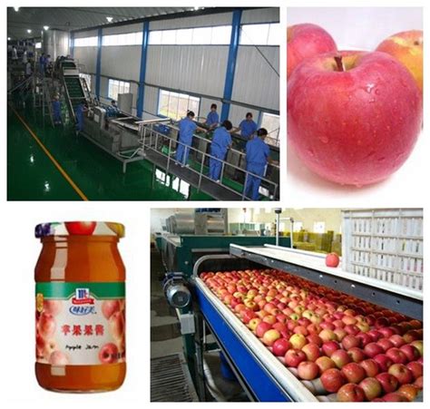 Small Capacity Apple Juice Processing Plant Ss304 Material Beverage