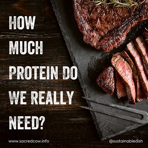 How Much Protein Do We Really Need Sacred Cow