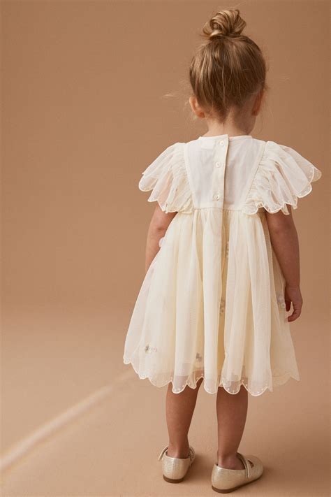 Buy Cream Embroidered Mesh Party Dress 3mths 7yrs From Next Ukraine