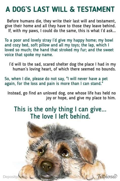 A lawyer read the will of a rich man to the deceased's family: Dogs last will and testament | Will and testament, Dog ...