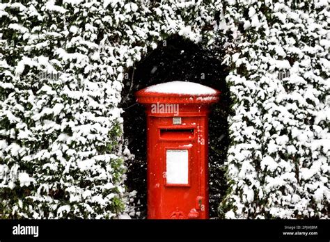 British Post Box Surrounded By Hedging Covered In Snow Stock Photo Alamy