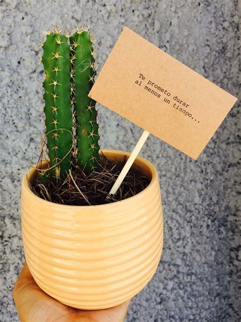 Pin De Yoely Carrasco En Frases Frases De Cactus Regalar Plantas