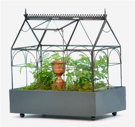 H Potter Plant Terrarium Container Large Glass Wardian Case Etsy