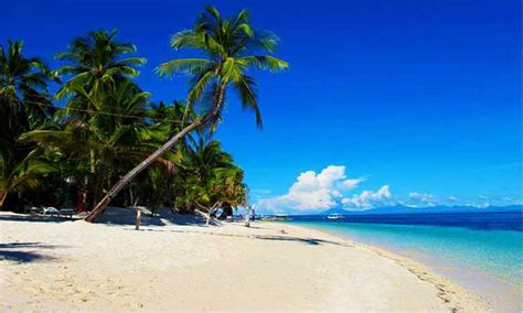List Of Top Beach Resorts In Cebu Cebu Travel Guide 10765